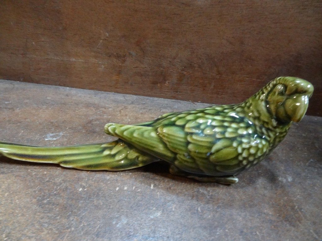 Green parrot (female)